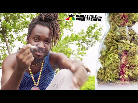 Bingi - High Grade [Official Video 2021]