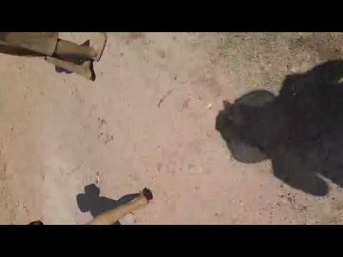 Así termina el carnaval en tenerife magdalena 