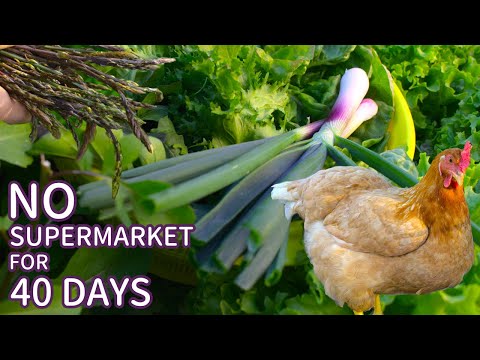 Living 40 Days on 100% Homegrown & Local Food