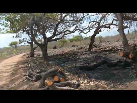 Giro pela lagoa do mato Bela Cruz 