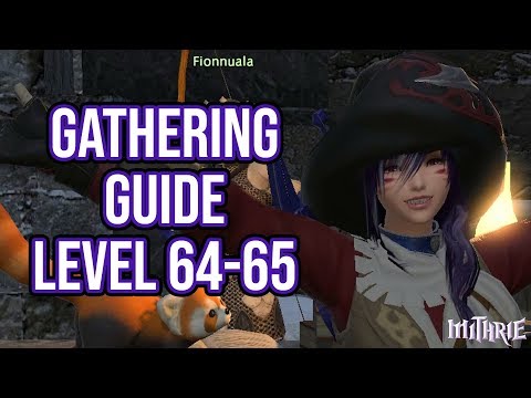FFXIV 4.0 1108 Gathering Guide Level 64 to 65