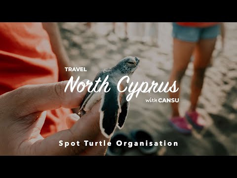 Travel North Cyprus with Cansu - Spot Turtle Organisation