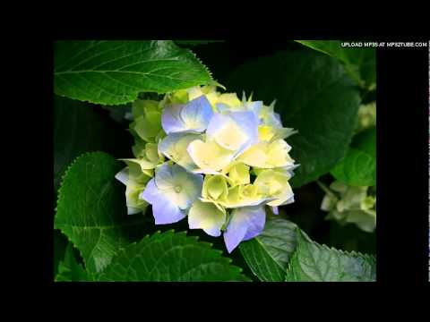 Eitan Katz - L'Cha Ezbach