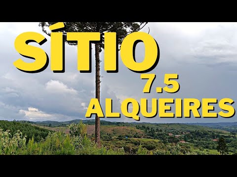 SÍTIO COM CASA / RIO /TANQUE / 6 ALQUEIRES DE PINUS.