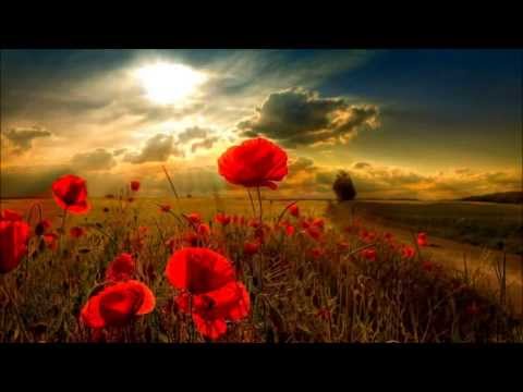 Omar Faruk Tekbilek -  Moments of Doubt