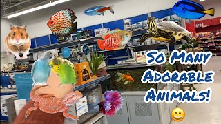 Visiting ALL the Animals at the Pet Store!!
