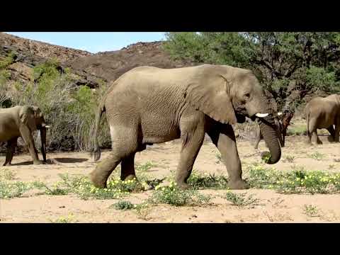 Unser Namibia TEIL 1