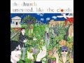 Unified Field - The Church