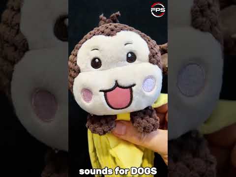 Squeaky Sounds That Instantly Get Any Dog’s Attention! #shorts