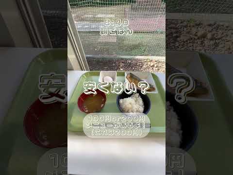 【Vlog】大学院生のゼミの日 #shorts #芝浦工大 #理系 #大学院生 #日常 #vlog