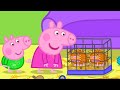 The Pet Shop Peppa Pig Asia Peppa Pig Full Episodes