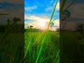 KISHOREnatural Short Video Whatsapp Status Video Download Free Download In Free Download