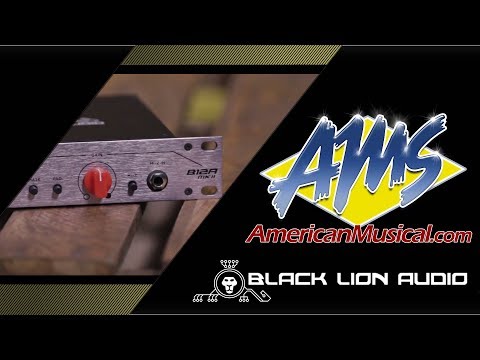 Black Lion Audio B12A MKII Preamp 2010s - Silver image 5