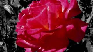 FM Static- Take me as I am lyrics