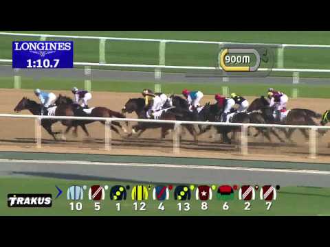31.01.2015 Meydan, (Dubai/UAE) 1.Race Al Naboodah Commercial Group Trophy - Maiden 1.900 m