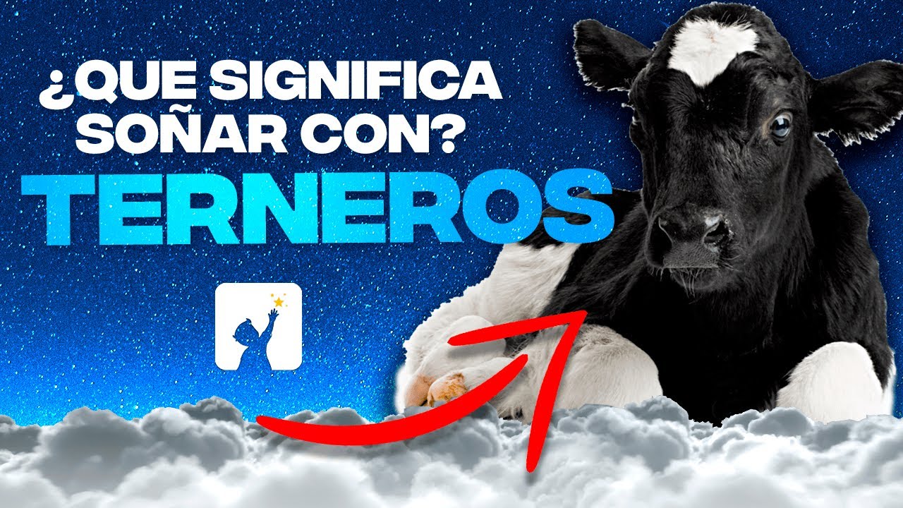 Watch ¿Qué Significa Soñar con Ternero?? Que Significa Soñar con Vacas Negras y Muertas Explicando Sueños Now ¿Qué Significa Soñar con Ternero?? Que Significa Soñar con Vacas Negras y Muertas Explicando Sueños
