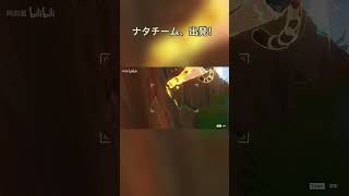 ナタチーム、出発！【原神】