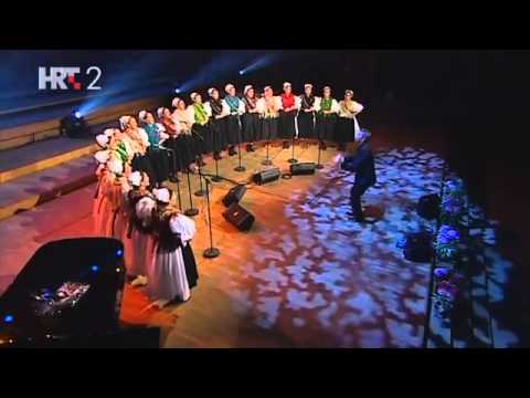 Ansambl Lado - Ladarice - Malo Međimurje (live 2012)