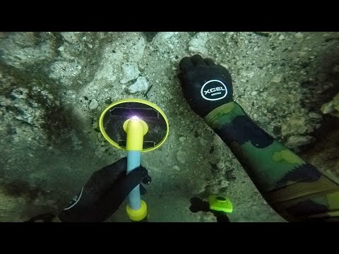 Scuba Diving the Devil's Den for Lost Valuables! (Found 2 Prehistoric Bones) | DALLMYD