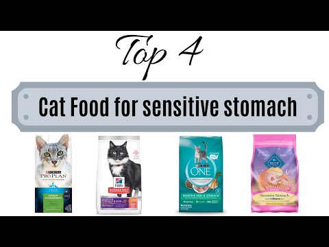 Best cat food for sensitive stomach cats 2020