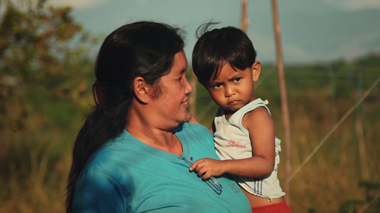 All that Glitters is not Gold - The Truth about GE 'Golden' Rice