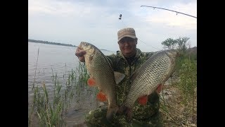 Рыбалка в на волге саратовская область