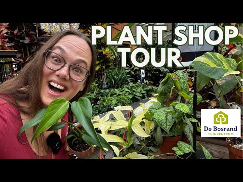 Plant Shop Tour - Bosrand Noordwijk | Plant with Roos
