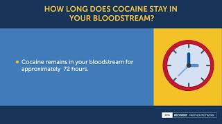 How long does cocaine stay in your bloodstream?