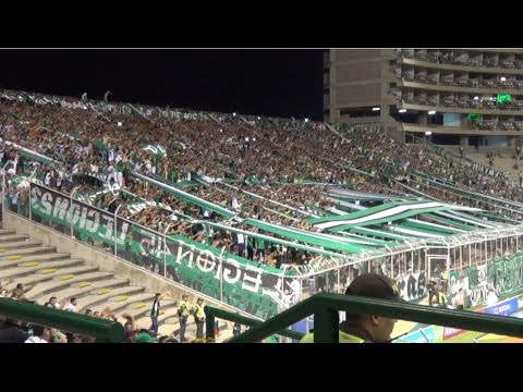 "Deportivo Cali vs Santa Fe Liga Ãguila 2017 ( Frente Radical Verdiblanco )" Barra: Frente Radical Verdiblanco • Club: Deportivo Cali • País: Colombia