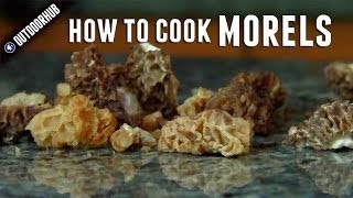 How To Clean And Cook Morel Mushrooms