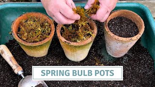 Planting Spring Bulbs for a Stunning Tablescape 🌸 | Narcissus, Iris & Crocus // Cottoverdi