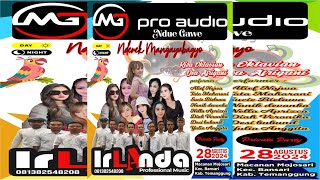 Download lagu TERBARU IRLANDA || WEDDING PARTY RIZA & DEA mp3 Download lagu TERBARU IRLANDA || WEDDING PARTY RIZA & DEA mp3