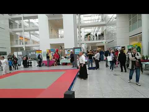 Aikido demonstration in the City Hall of The Hague. 02-02-2020 part 1 of 3
