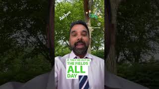 Why are Pollen Counts So High Right Now - Premier Allergy & Asthma - Central Ohio's #1 Allergists