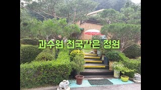 과수원 할아버지가 심고 가꾼 천국같은 정원 집