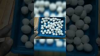 Download lagu bubur candil dari tepung beras #short #bijisalak #candil #buburcendil mp3