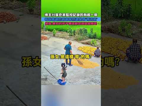 博主分享老家監控記錄的有趣一幕！看似普通的爺爺居然還是個'預言家'！網友：農村的孩子應該都吃過這個痛吧! #大熱門#熱門