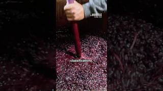 How the Wine Industry Trained You to Spend More
