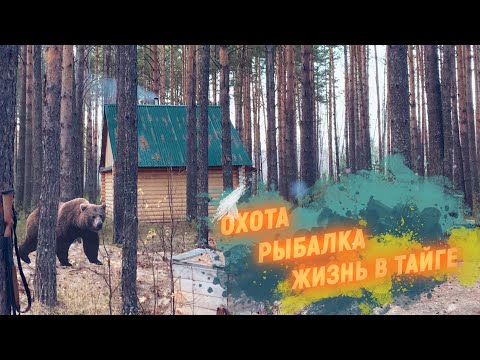 Тайга. Охота и рыбалка. Жизнь в тайге. Сибирь заимка