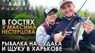 Клев щуки в харькове на неделю