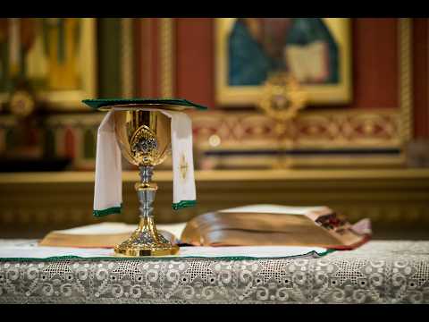 17⁰ Domingo do Tempo Comum- capela Nossa senhora de Fatima, Paróq. de São José, Altos- Pi