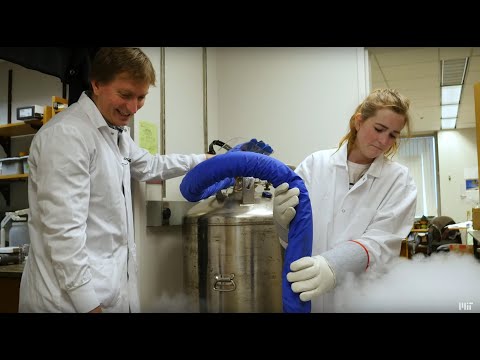 Meet the MIT Bio Faculty: Joey Davis