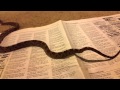 How A Snake Poops
