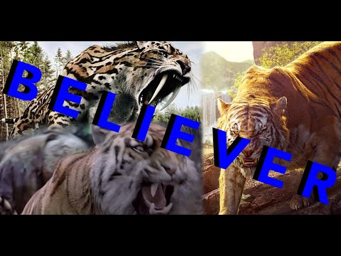 Tribute to Tigers (Sabertooth,Shiva & Shere Khan) - Believer