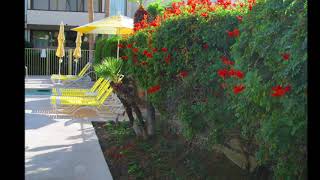 Casitas del Monte - Palm Springs California