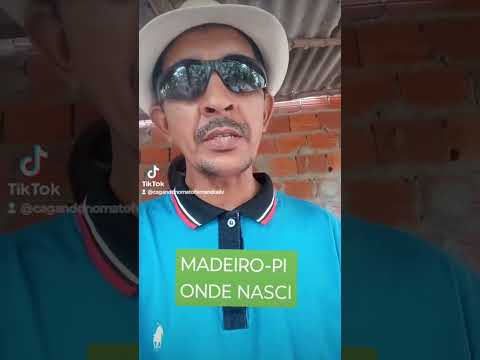 MADEIRO-PI ONDE NASCI.  #PIAUI #fernando #poeta #biblico #nordestino