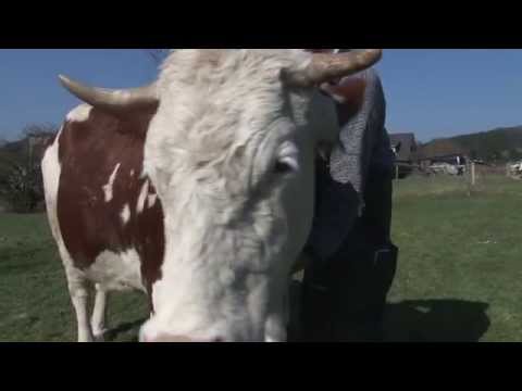 Der Demeter-Bauer Hardy Burgmer vom Breuner-Hof
