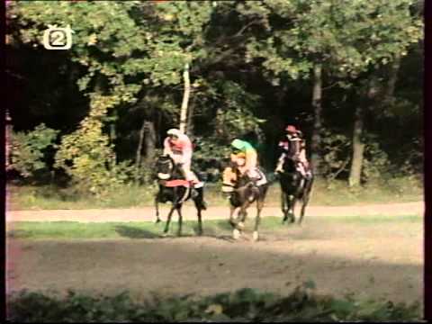 Velká Pardubická 1993 Rigoletto