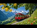 World S Most Scenic Train Journey In Switzerland Schynige Platte Top Of Swiss Tradition