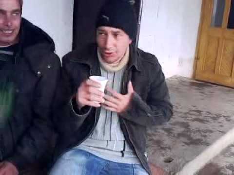 lautarii din pelisor....